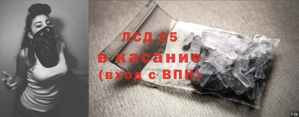 ГАЛЛЮЦИНОГЕННЫЕ ГРИБЫ Михайлов