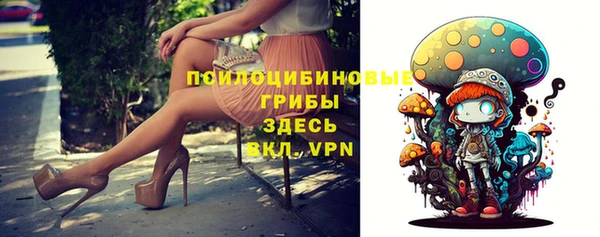 ГАЛЛЮЦИНОГЕННЫЕ ГРИБЫ Михайлов