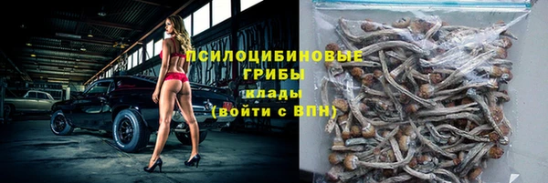 ГАЛЛЮЦИНОГЕННЫЕ ГРИБЫ Михайлов