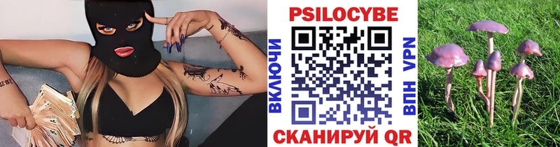 Псилоцибиновые грибы ЛСД  как найти наркотики  кракен зеркало  Лукоянов 
